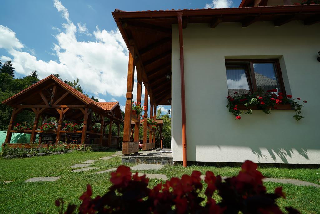 Hotel Casa Bunicii Moisei Exterior foto