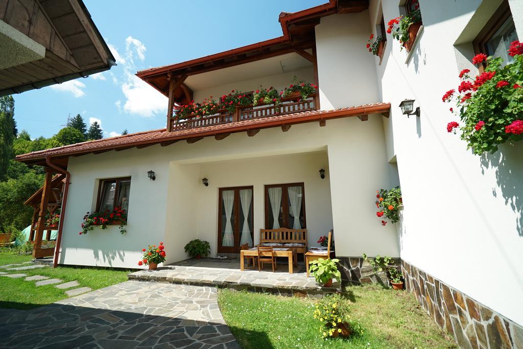 Hotel Casa Bunicii Moisei Exterior foto